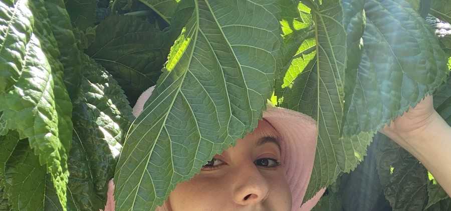 MORNINGS WITH LOUISA THURN